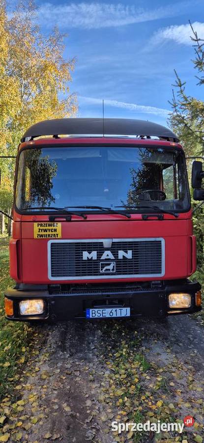 Man 12192 do przewozu bydła zwierząt żywca koni podlaskie Suwałki