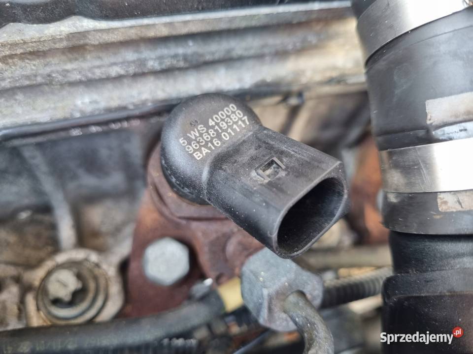 SILNIK KOMPL Fiat Scudo 20 HDI siemens 109 RHZ Rudka