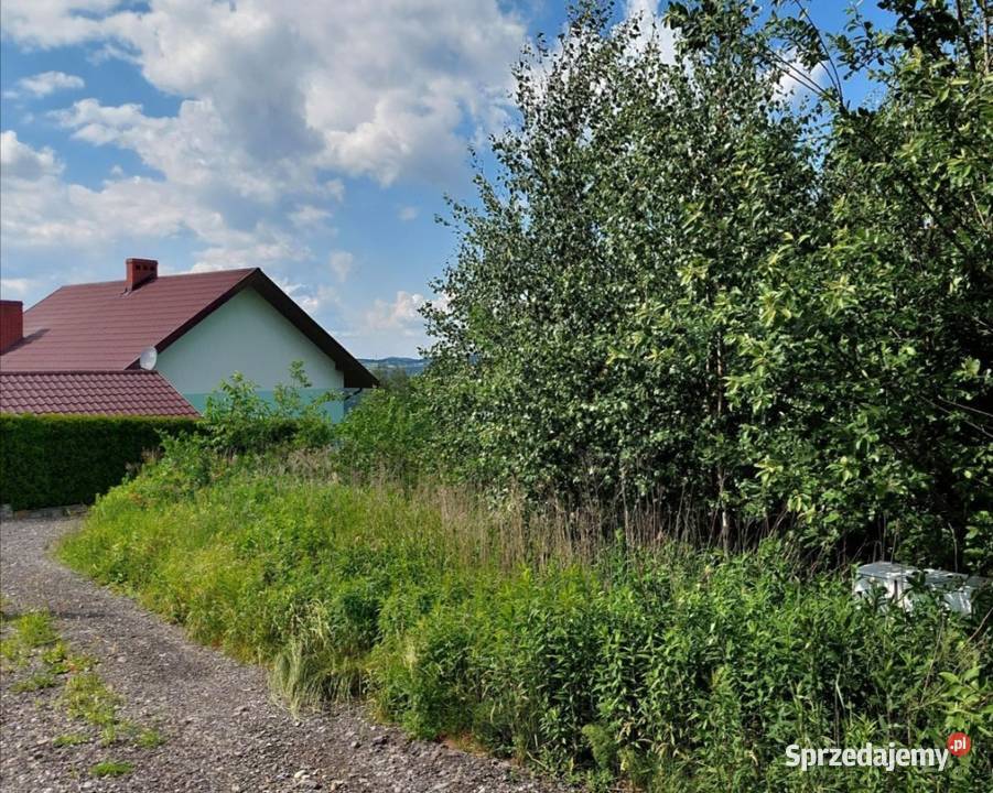 Rożnów działka budowlana inwestycyjna Jezioro