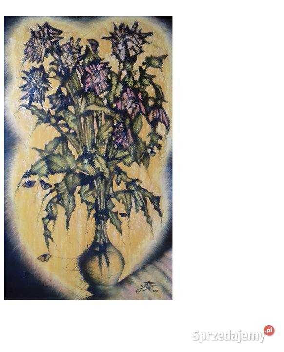 Nocne Georginie Z Białymi Motylami Jarosław