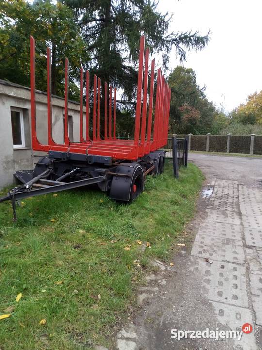 Kłonice do drzewa