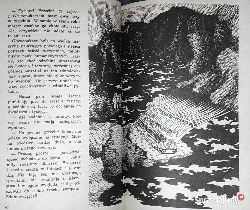 Synteza Maciej Wojtyszko lubelskie Chełm sprzedam