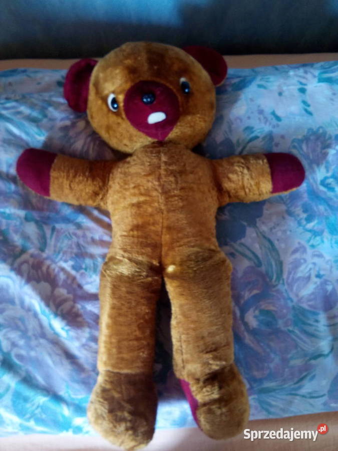 Miś leżący długość ok 60 Maskotki Mielno