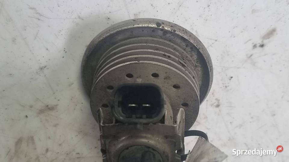 WTRYSKIWACZ ADBLUE OPEL MOVANO III 208993839R