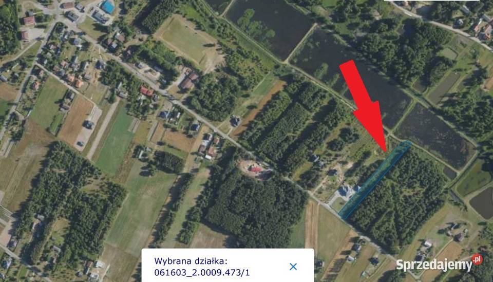 sprzedam DZIAŁKĘ pow05 ha Nowodwór k Ryk