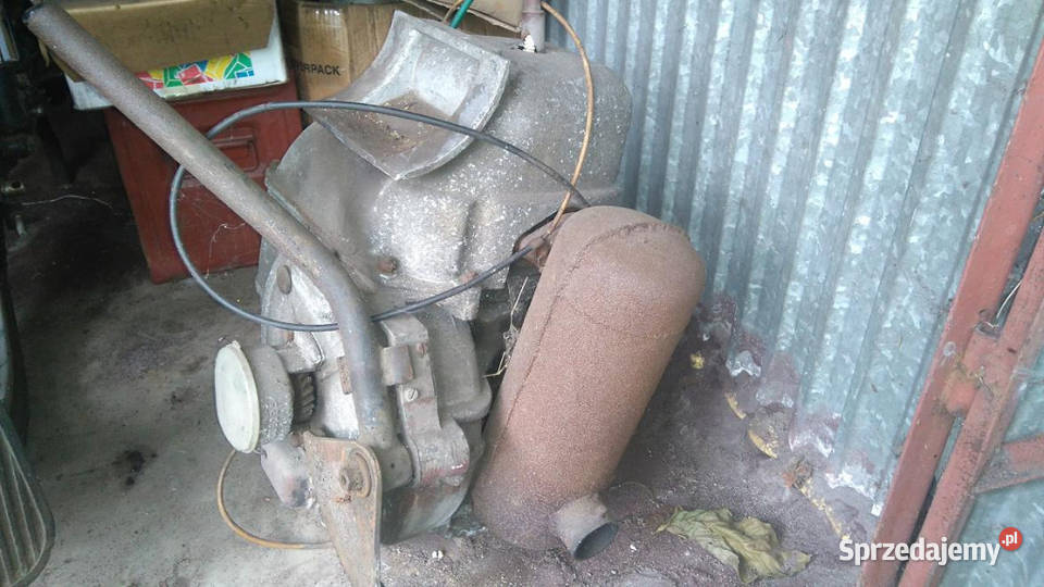 Silnik dzik ursus c 308 Pawłowice sprzedam