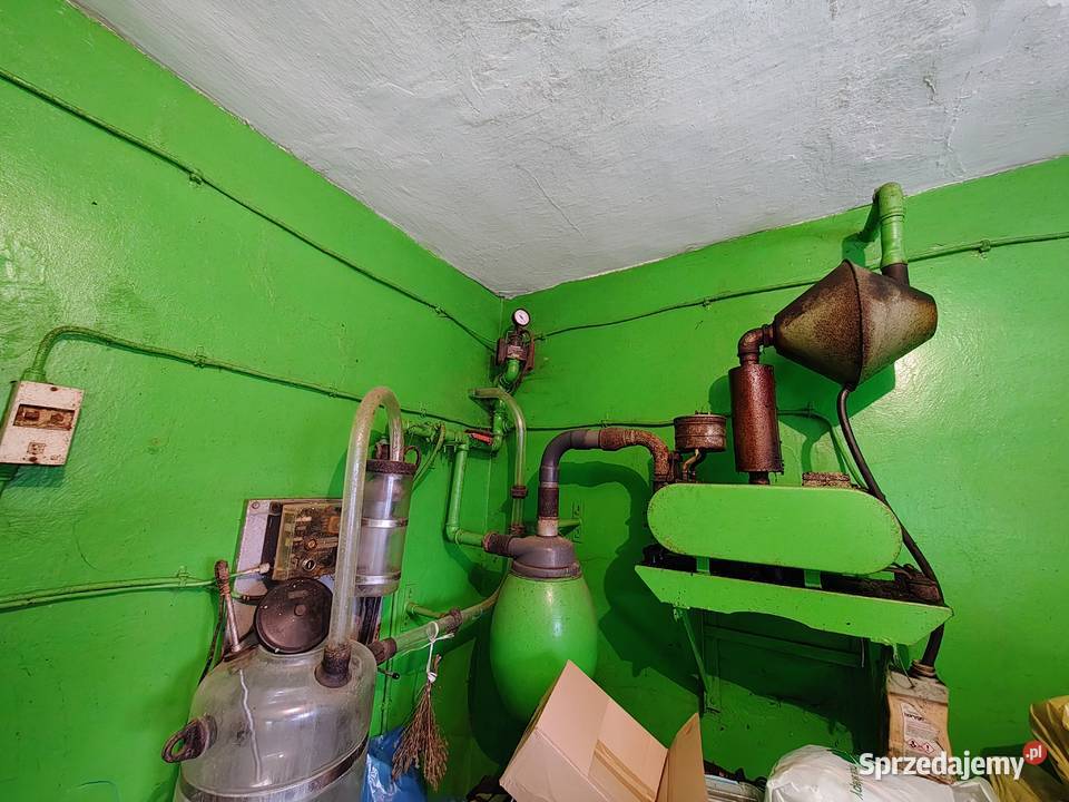 Dojarka Westfalia Osięciny