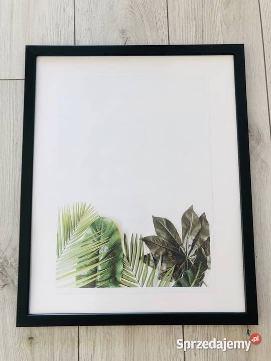 Plakat liście zielony tropikalny natura 42 x 30