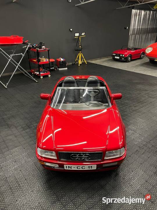 Audi Alpha Junior wielkopolskie Kalisz