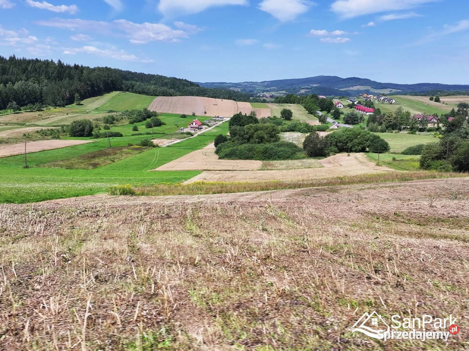 Działka do sprzedania Berezka 2600m2