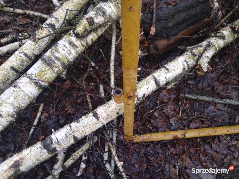 Brama rama dwuskrzydłowa PRL 160 x 320 16m x 32m Bramy Łódź