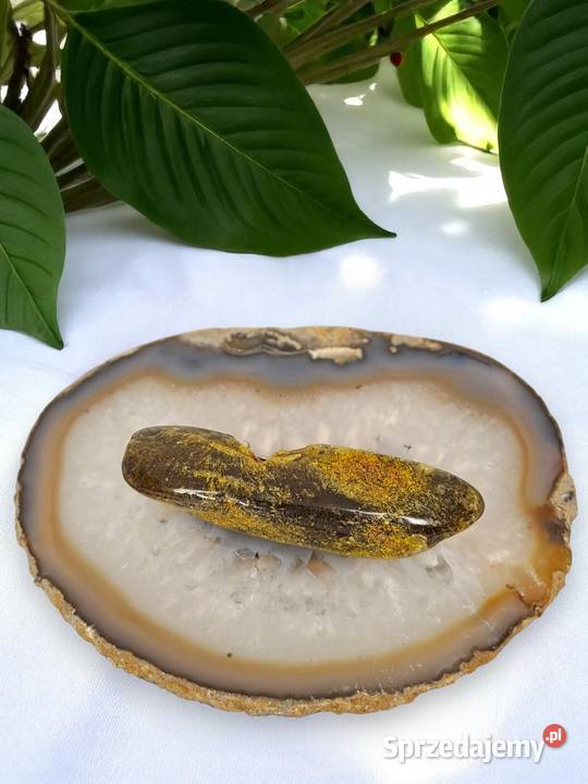 Broszka z bursztynu bursztyn bryłka 1492 mazowieckie Warszawa