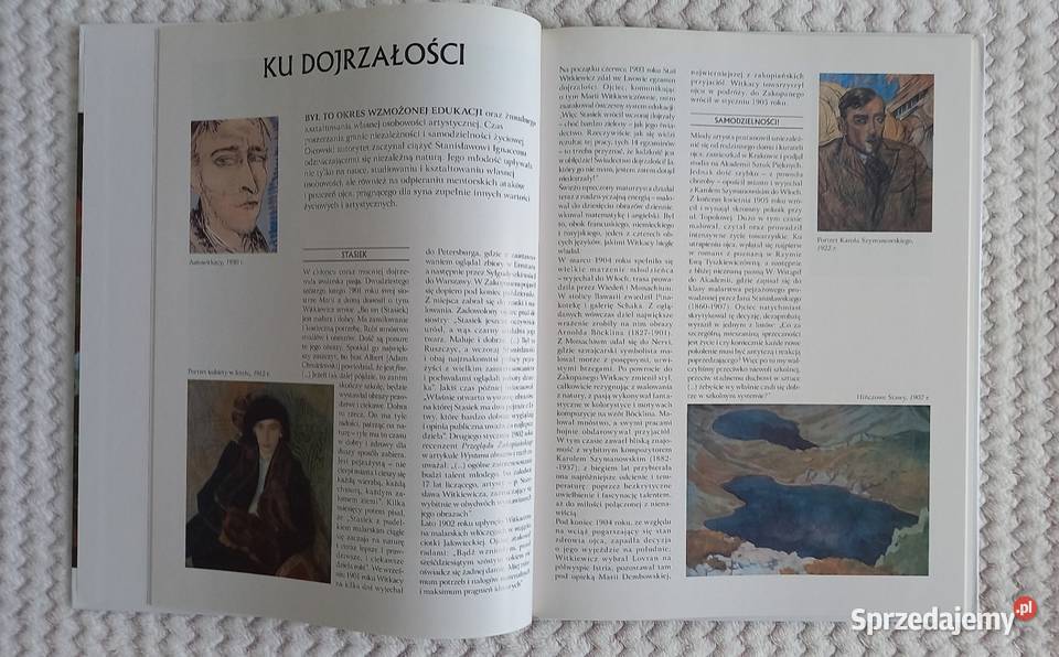 Sztuka Malarstwo SI Witkiewicz Witkacy seria Kraków