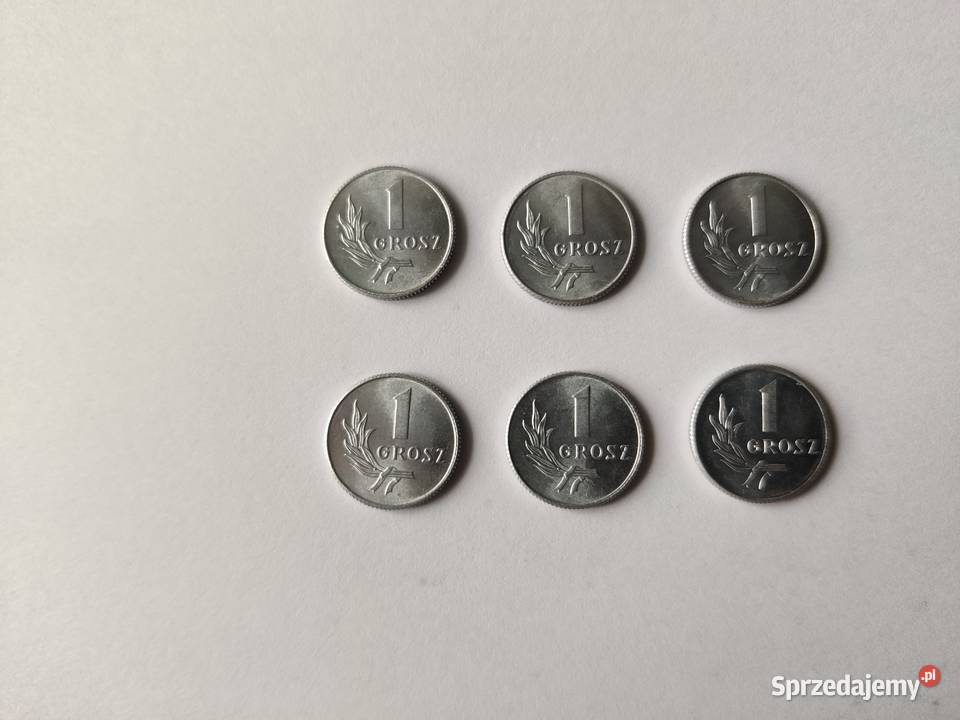 Monety 1 grosz Myszków sprzedam