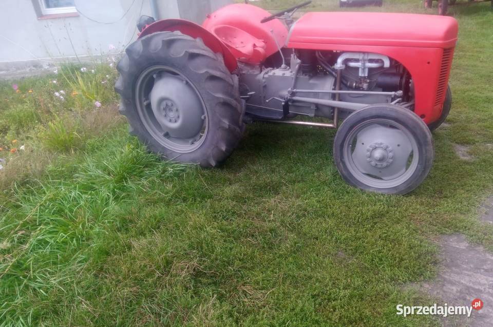 Sprzedam zamienię Fergusona TEA 20 na wózek Gniezno