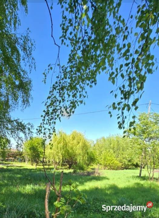 Działka Czaniec sprzedam