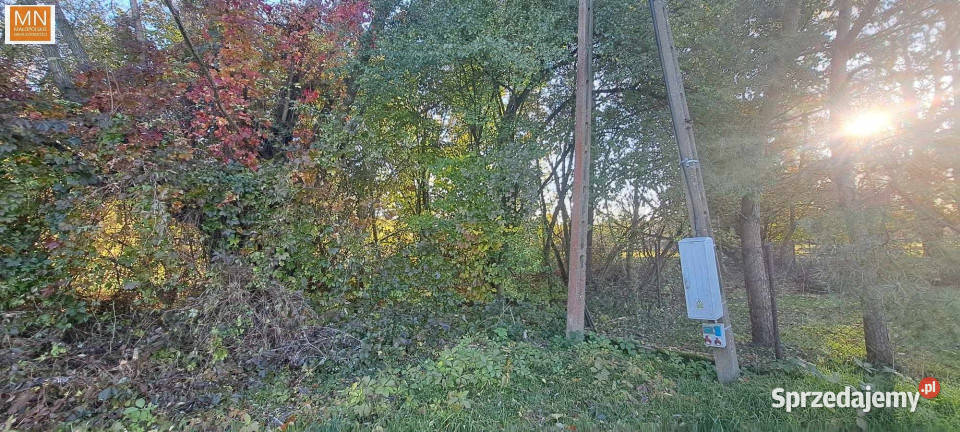 Grunt do sprzedania 2200m2 Słomniki 2200m2 małopolskie