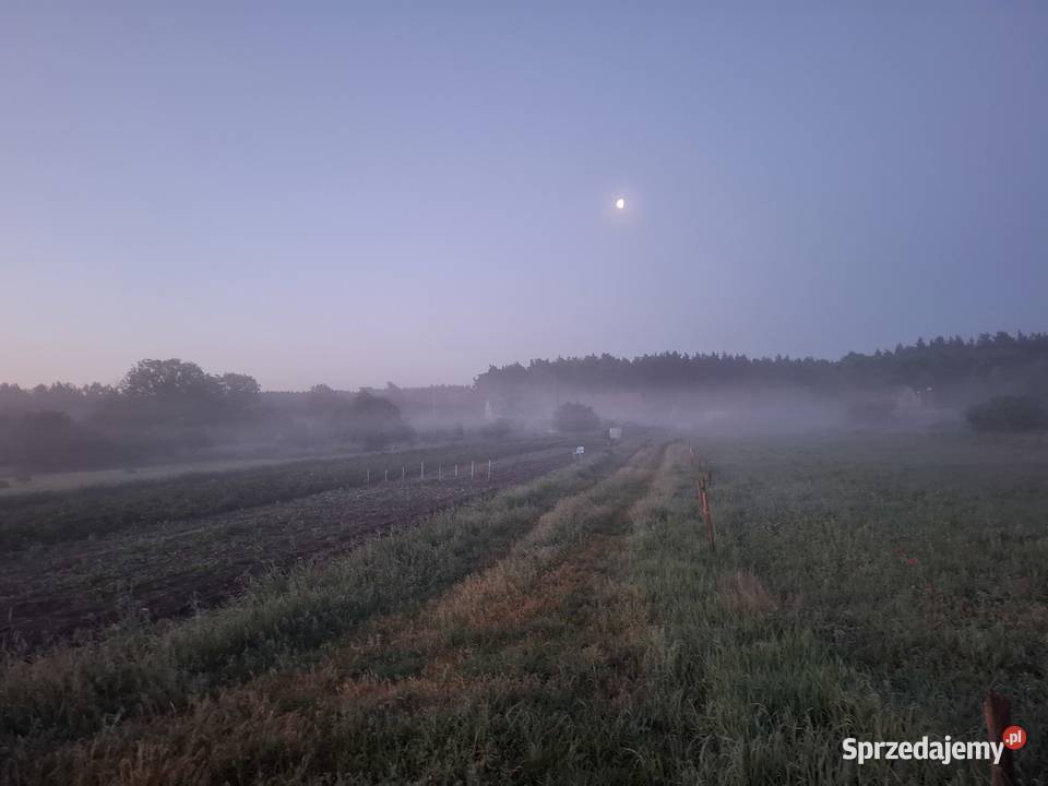Dom krzypnica gryfino sprzedam