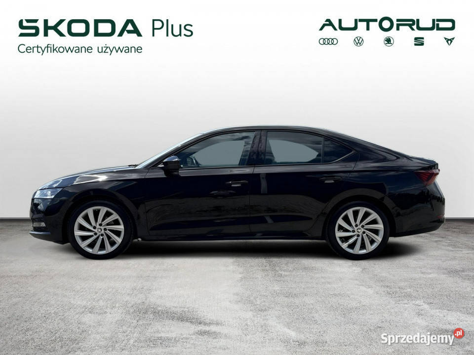 koda Octavia 15eTSI 150 DSG Style Dynamic 2023 świętokrzyskie Kielce