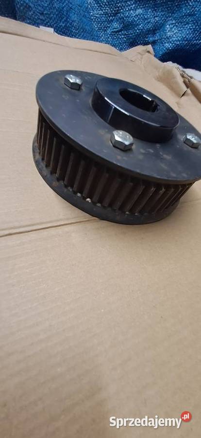 Kolo pasowe zębate wielkopolskie