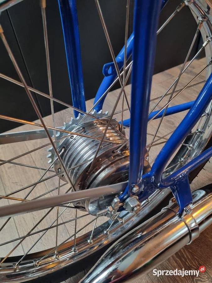 Komar sztywniak 2320 Nowy Sącz