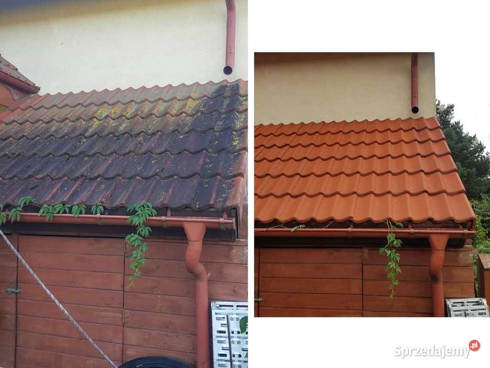 Mycie myjką ciśnieniową i malowanie dachów Pozostałe Ropczyce