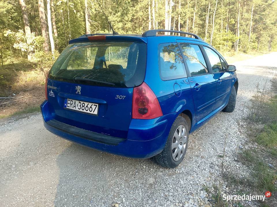 Peugeot 307 16 B Okazja 1600cm3 świętokrzyskie