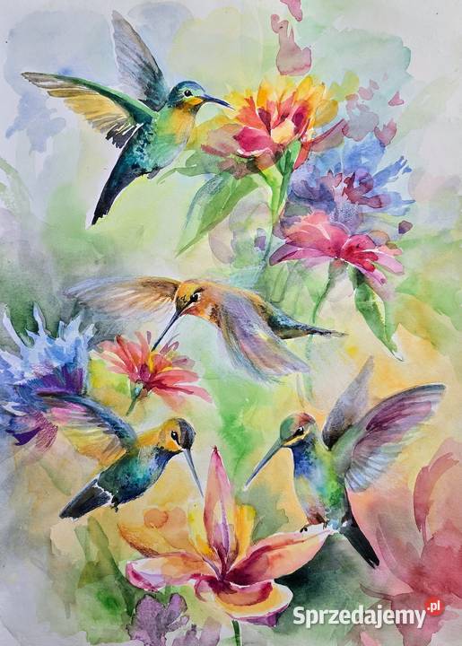 Akwarele oryginalne kwiaty różny rozmiar Warszawa