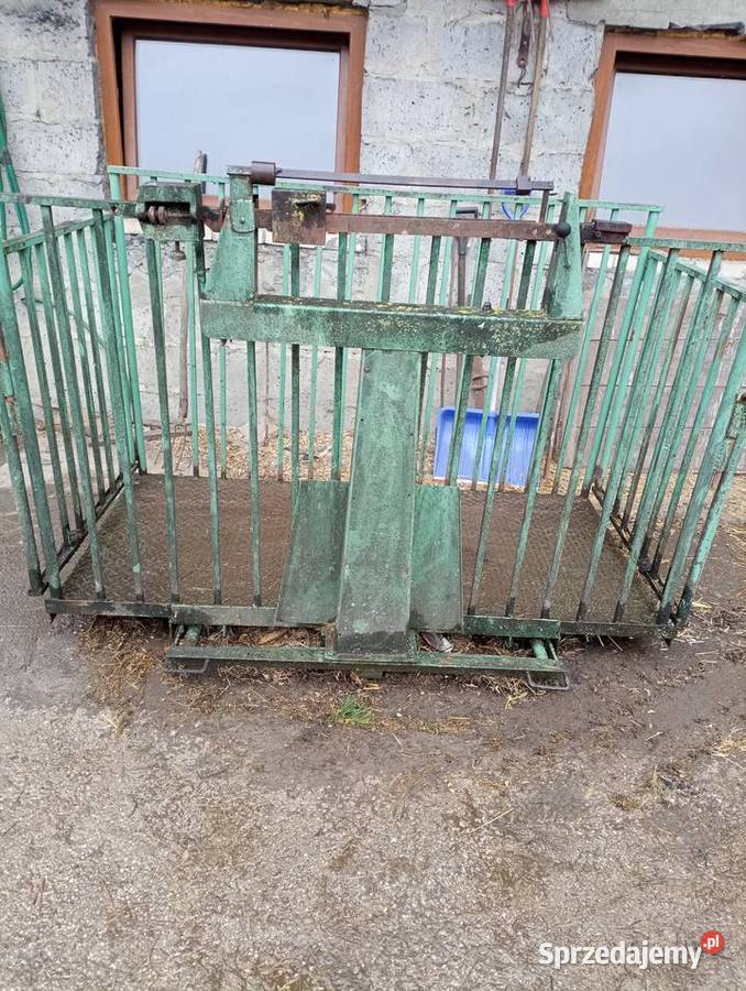 Waga do żywca bydła Nowy Korczyn