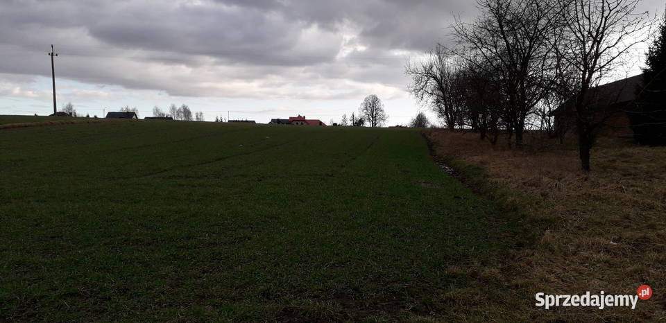 SIEDLISKO DOM Budynek Gospodarczy Działki Miastkowo