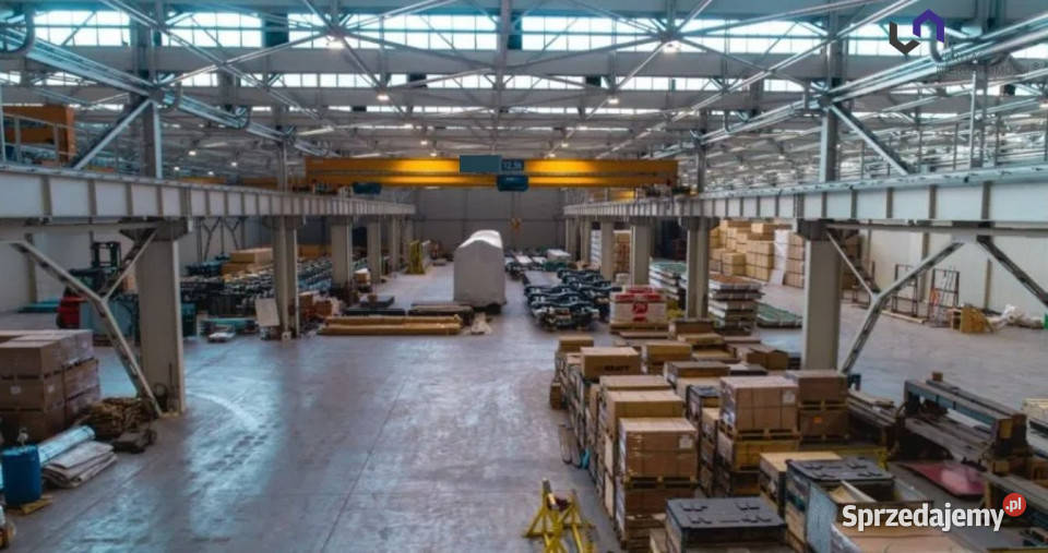 Lokal Siemianowice Śląskie 1000m2 śląskie