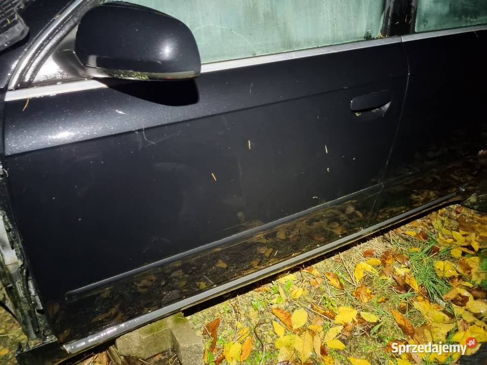 Audi A4 B7 8E0 LZ9Y Drzwi Przednie Tylne Skawina