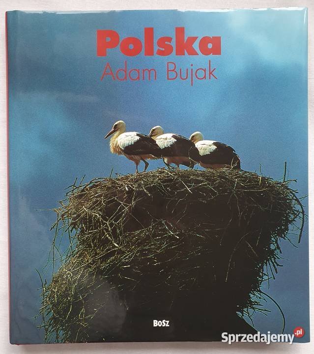 Adam Bujak Polska Album