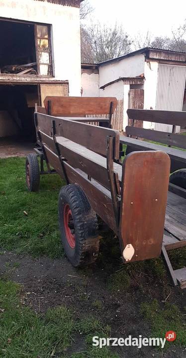 Sprzedam powóz konny Syrynia