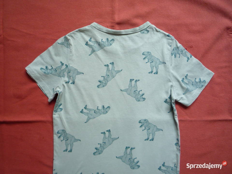 HM r 134 Niebieskozielona Koszulka Dinozaury Szczecin sprzedam