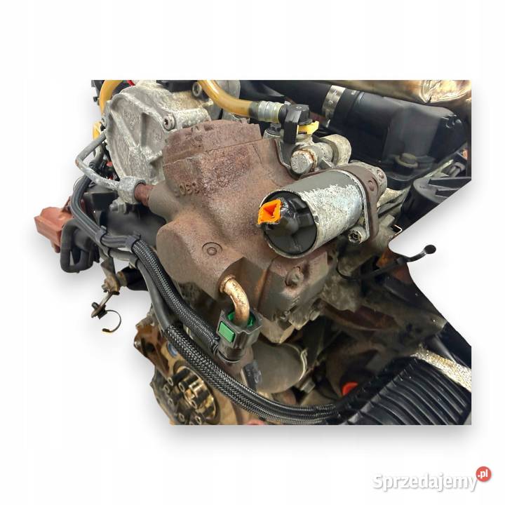SILNIK G6DD Ford C C Focus MK2 20 TDCI 136 Chełm sprzedam