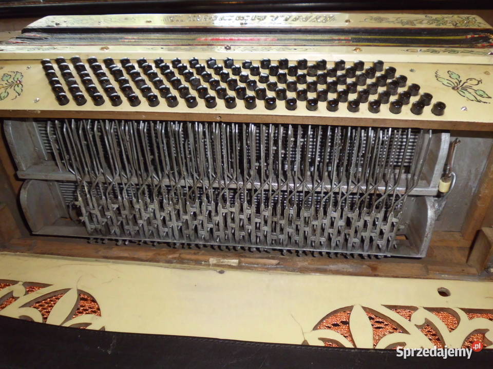 harmonia 3 rzędowa akordeon concertino 120 basów Instrumenty klawiszowe i MIDI lubelskie Łuków sprzedam