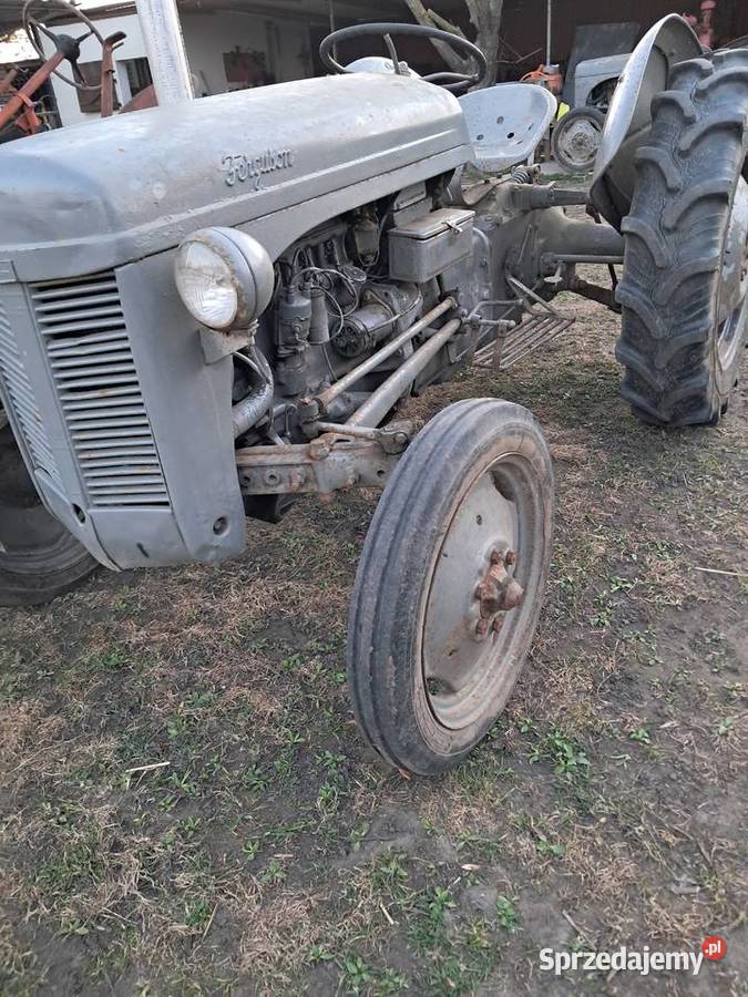 Ferguson TEA Ferguson Gniewkowo