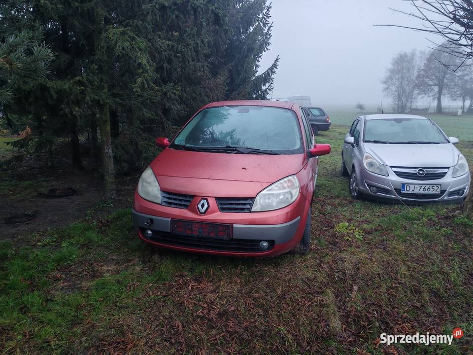 Renault Grand Scenic Kutno