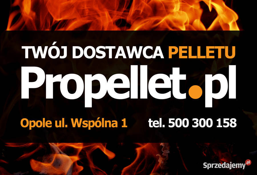 Pellet Olimp 6mm Propellet24 Opole sprzedam