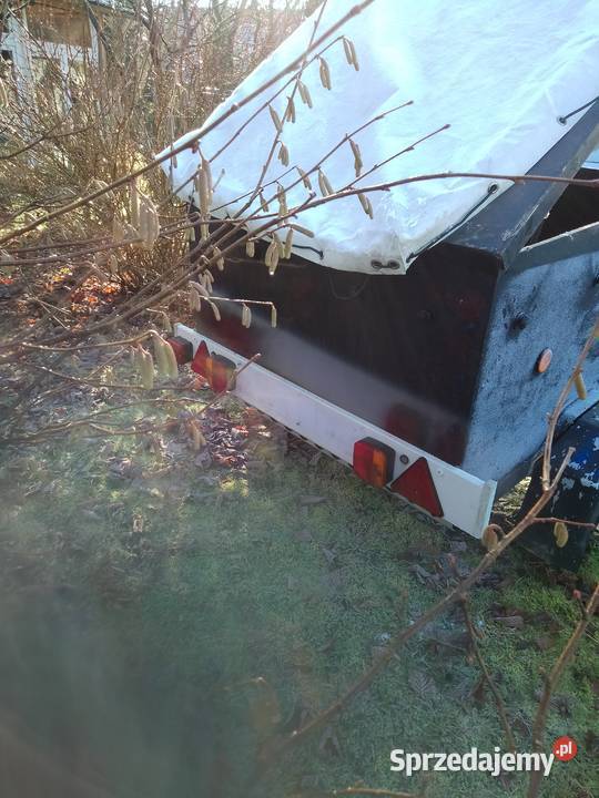 przyczepa lekka Wykroty