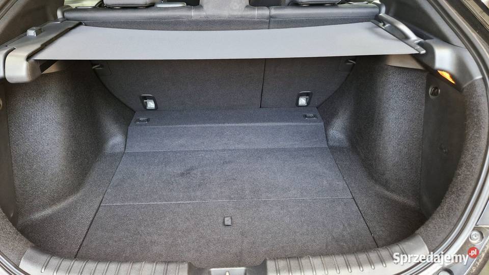 Honda Civic X ASO do 2025r Rej możliwa zamiana 1 garażowany Kraków