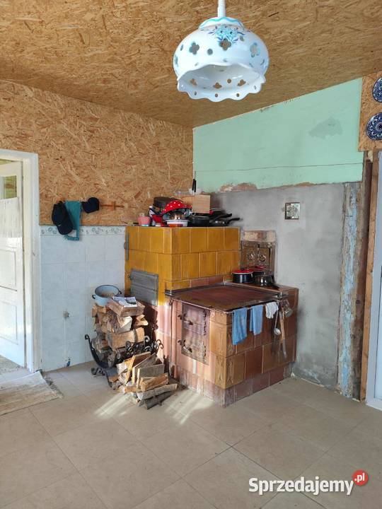 Siedlisko w lesie podkarpackie Domaradz