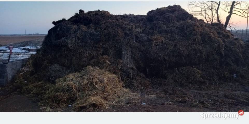 Obornik wymienię na słomę Kalisz