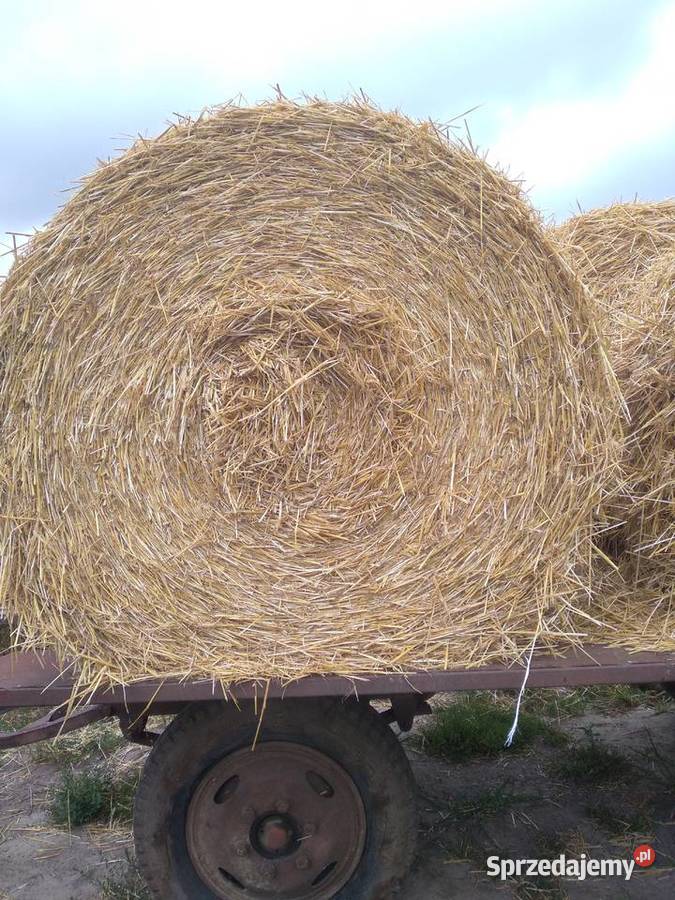 holland 5950 644 648 wielkopolskie Rozdrażew