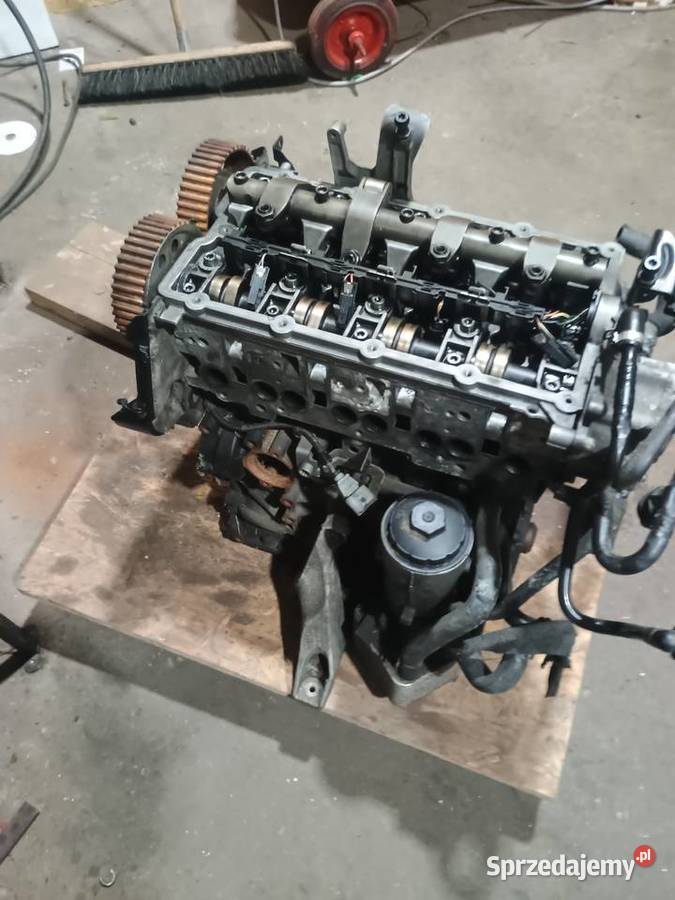 Sprzedam głowicę 20tdi blb kujawsko-pomorskie