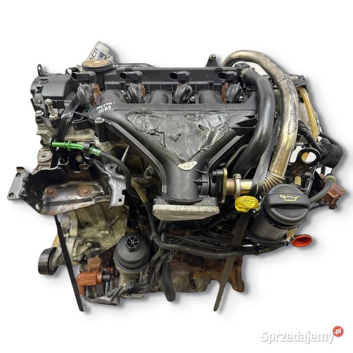 SILNIK KOMPLETNY Ford Focus II MK2 C C 20 TDCI Chełm sprzedam