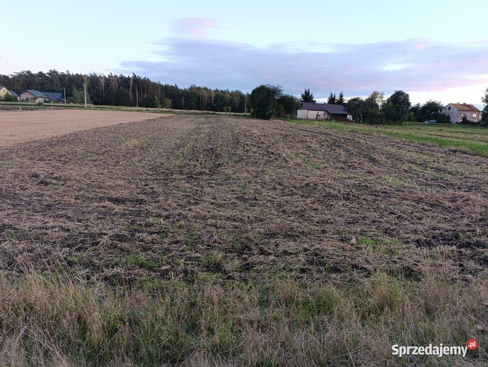 Działka Lesie 7 Uzdrowiska BuskoZdrój 30ar 60ar Kobylniki