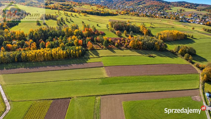 Działka Klimkówka 1500m2 podkarpackie