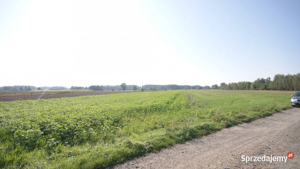 Działka rolno budowlana 96a Rudka Gołębska utwardzona sprzedam